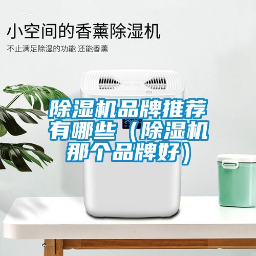 除濕機(jī)品牌推薦有哪些（除濕機(jī)那個(gè)品牌好）