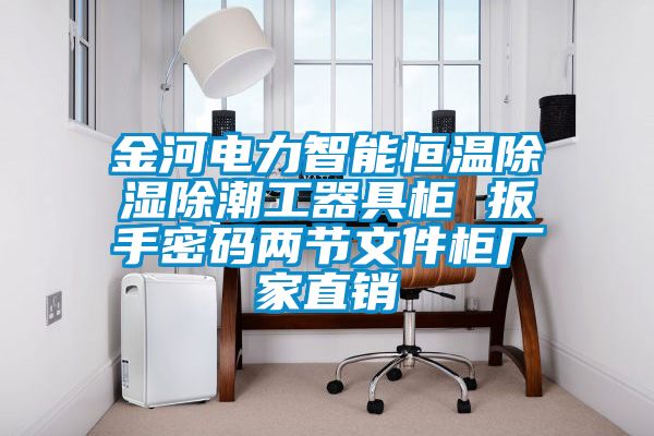 金河電力智能恒溫除濕除潮工器具柜 扳手密碼兩節文件柜廠家直銷