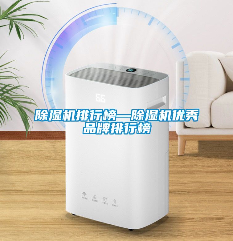 除濕機排行榜—除濕機優秀品牌排行榜