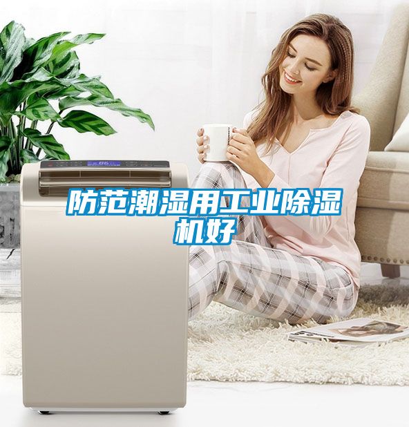 防范潮濕用工業除濕機好