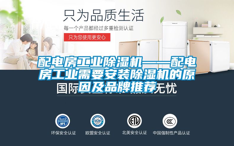 配電房工業除濕機——配電房工業需要安裝除濕機的原因及品牌推薦