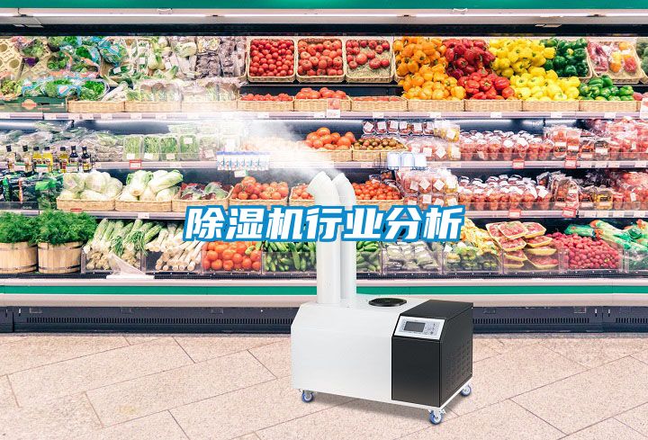 除濕機行業(yè)分析