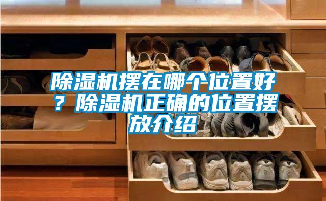 除濕機擺在哪個位置好？除濕機正確的位置擺放介紹