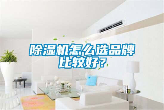 除濕機怎么選品牌比較好？