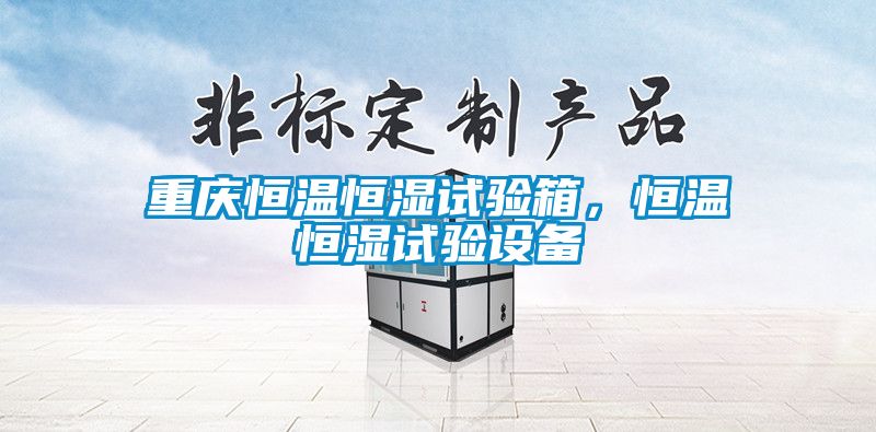 重慶恒溫恒濕試驗(yàn)箱，恒溫恒濕試驗(yàn)設(shè)備