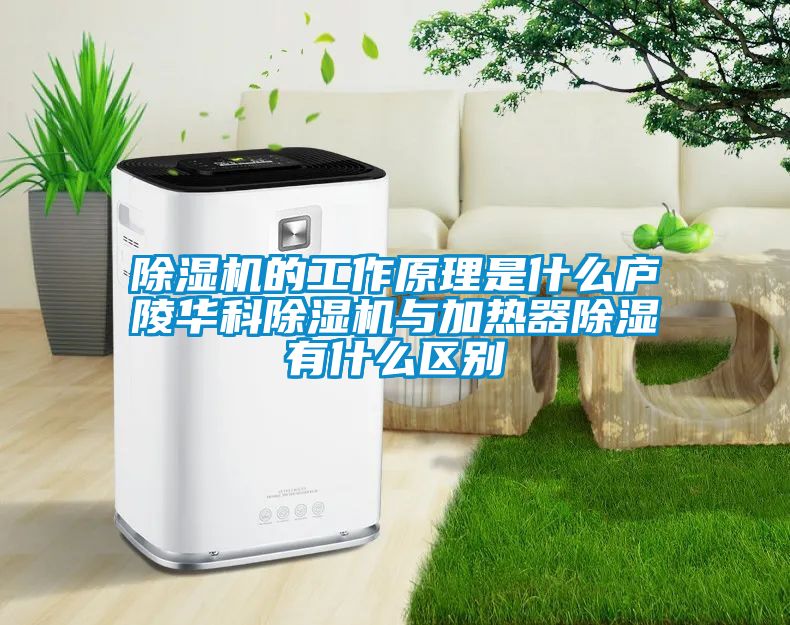 除濕機的工作原理是什么廬陵華科除濕機與加熱器除濕有什么區別