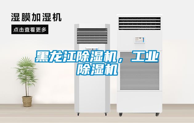 黑龍江除濕機，工業除濕機