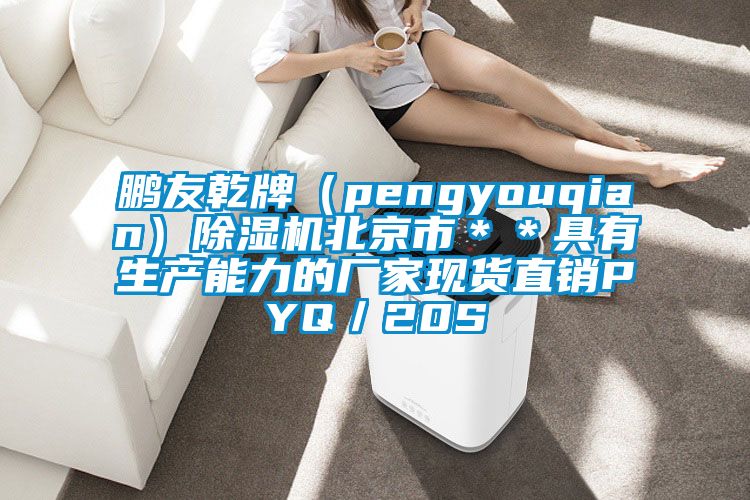 鵬友乾牌（pengyouqian）除濕機北京市＊＊具有生產能力的廠家現貨直銷PYQ／20S